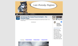 Pomskypuppies.com thumbnail