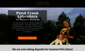 Pondcreeklabradors.com thumbnail