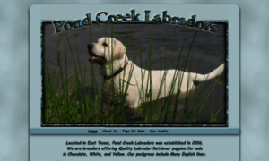 Pondcreeklabs.com thumbnail