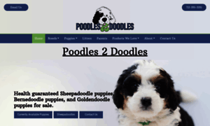 Poodles2doodles.com thumbnail