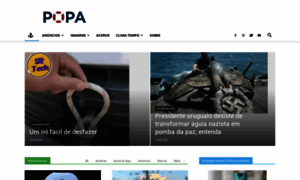 Popa.com.br thumbnail