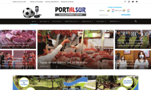 Portalsur.com.ar thumbnail