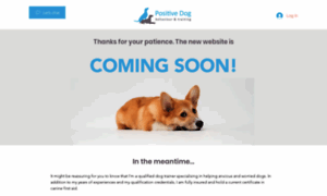 Positive-dogtraining.co.uk thumbnail