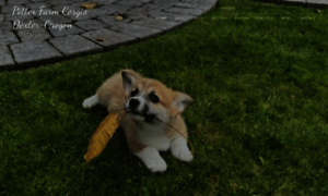 Potterfarmcorgis.com thumbnail