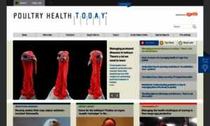 Poultryhealthtoday.com thumbnail
