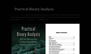 Practicalbinaryanalysis.com thumbnail