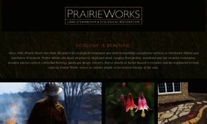 Prairieworksinc.com thumbnail