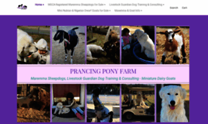 Prancingponyfarm.com thumbnail