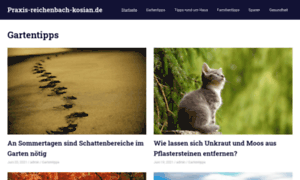 Praxis-reichenbach-kosian.de thumbnail