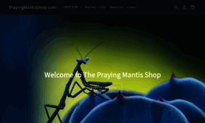 Prayingmantisshop.com thumbnail