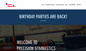 Precision-gym.com thumbnail