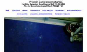 Precisioncarpetcleaningkansas.com thumbnail