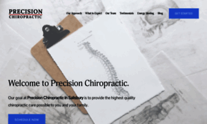 Precisionchiroma.com thumbnail