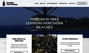 Precisiontreeservices.com.au thumbnail