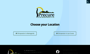 Precurechiropractic.com thumbnail