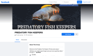 Predatoryfishkeepers.com thumbnail