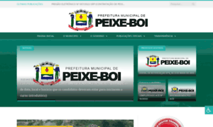 Prefeituradepeixeboi.pa.gov.br thumbnail