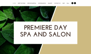 Premieredayspaandsalon.com thumbnail