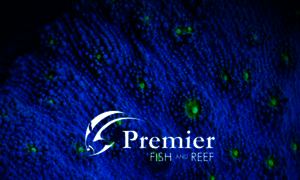 Premierfishreef.com thumbnail