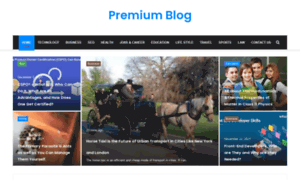 Premiumblog.org thumbnail