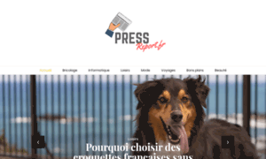 Press-report.fr thumbnail