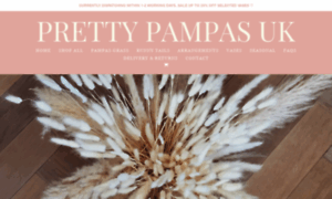 Prettypampasuk.co.uk thumbnail