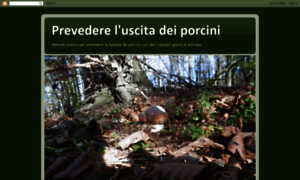 Prevedereuscitaporcini.blogspot.it thumbnail