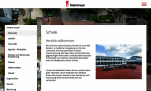 Primarschule-steinmaur.ch thumbnail