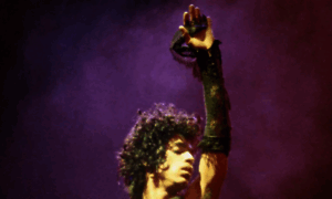 Prince.com thumbnail