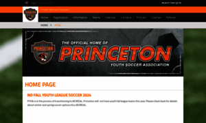 Princetontigersoccer.org thumbnail