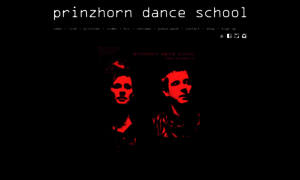 Prinzhorn-dance-school.com thumbnail