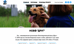 Priyut-drug.ru thumbnail
