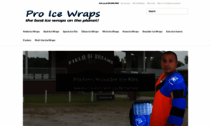 Pro-ice-wraps.com thumbnail