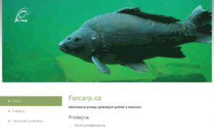 Pro-ryby.cz thumbnail