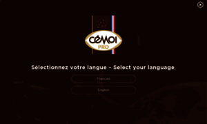 Pro.cemoi.fr thumbnail