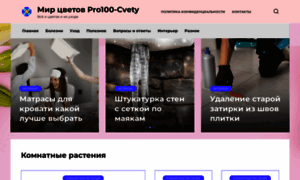 Pro100-cvety.ru thumbnail