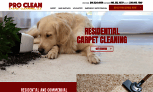 Procleancarpetservice.com thumbnail