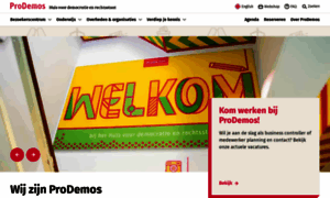 Prodemos.nl thumbnail