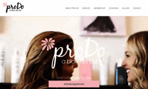 Prodoblowdrybar.com thumbnail