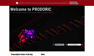 Prodoric.de thumbnail