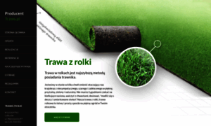 Producenttrawy.pl thumbnail