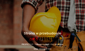 Profectus.com.pl thumbnail