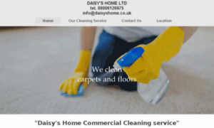 Profesional-commercial-cleaners.co.uk thumbnail