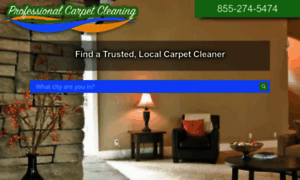 Professional-carpet-cleaning-service.com thumbnail