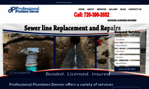 Professional-plumbers-denver.com thumbnail