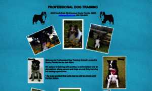 Professionaldogtrainingocala.com thumbnail