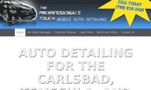 Professionalstouchdetailing.com thumbnail