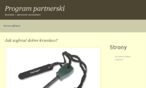 Program-partnerski.net.pl thumbnail