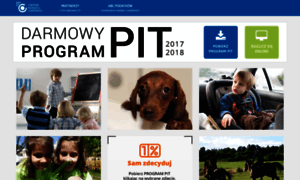 Program-pit.org.pl thumbnail