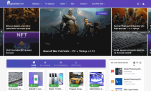 Programindir.net thumbnail